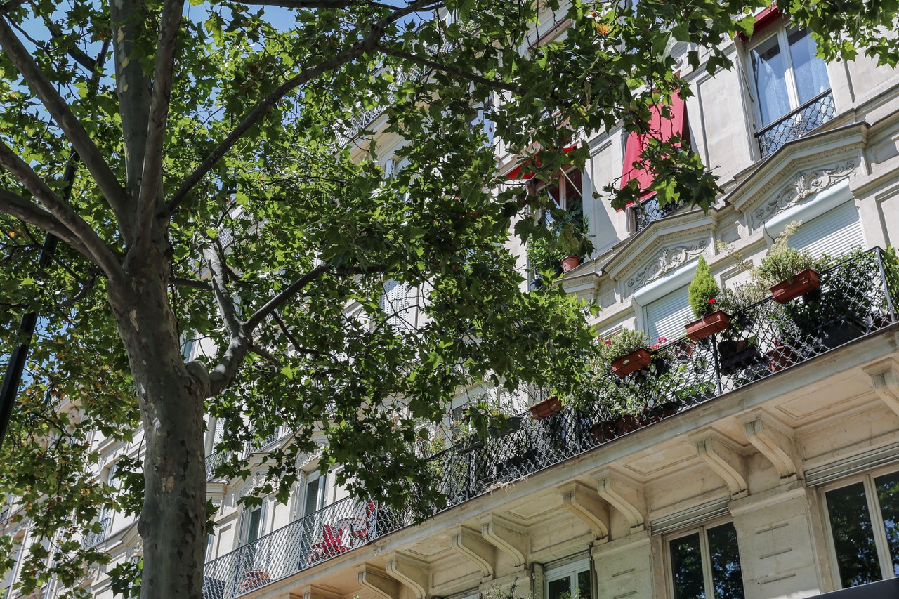 Appartement 4P – 91 m² – Paris 6