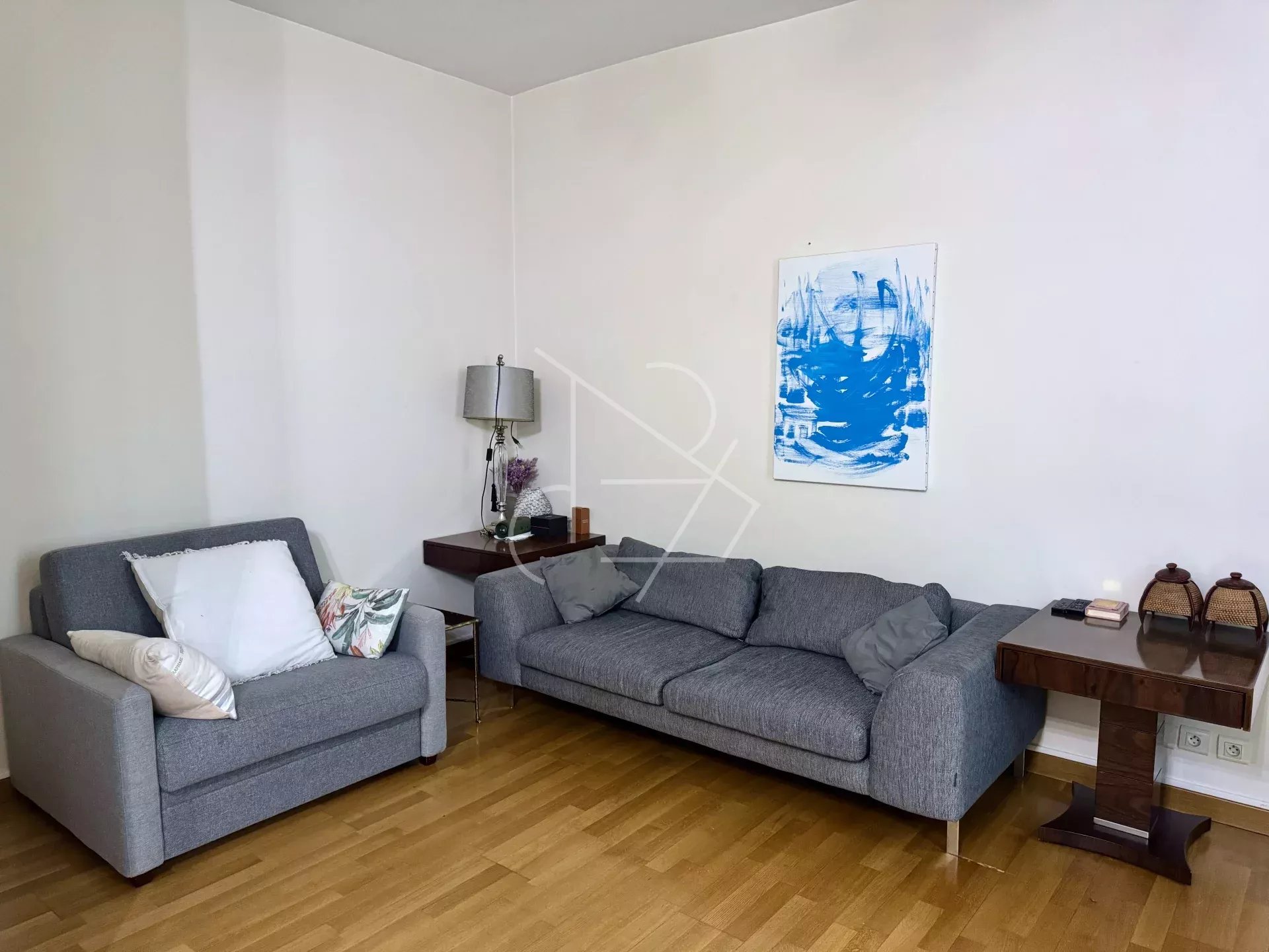 ea88d058a065ebb6af55ad892cf69f27_285d95dc90_1920-original-5265 Appt 2P 49m² – Trocadéro – Paris 16ème